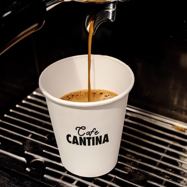 لیوان کاغذی کارون